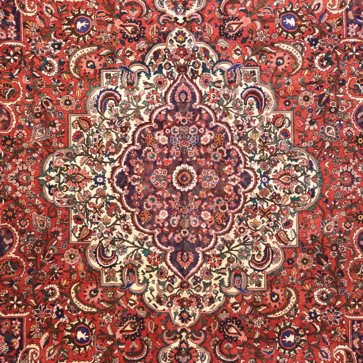 9'6" x 12'8" RED AND RED BAKHTIARI FLORAL PERSIAN RUG